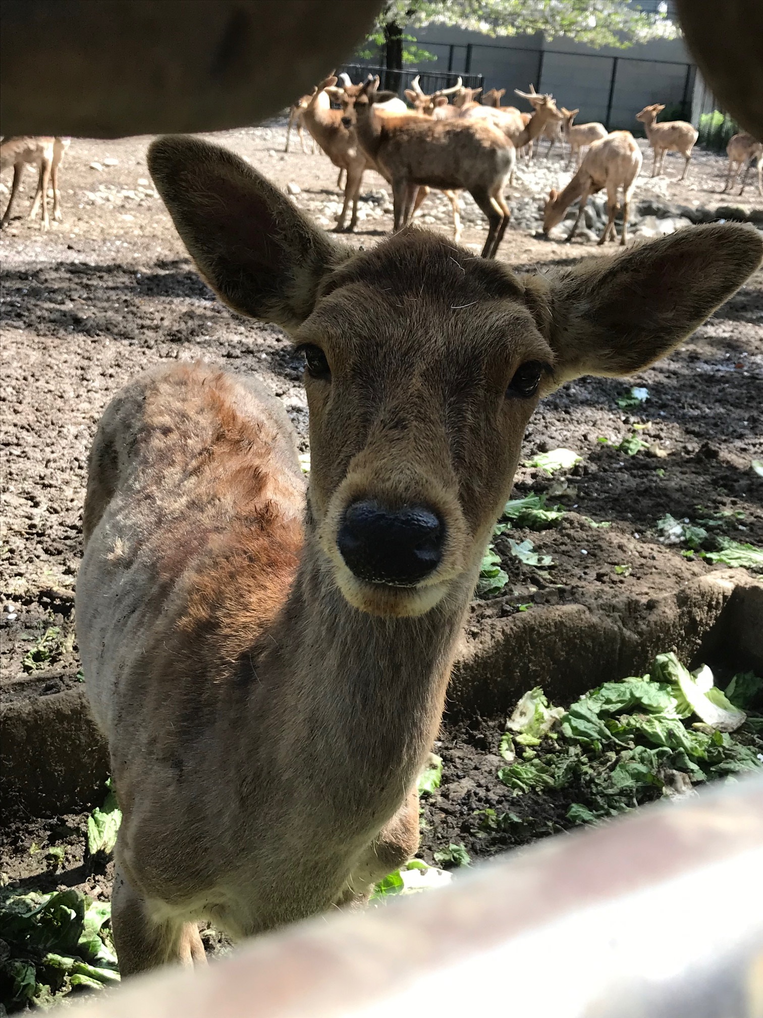 blog画像