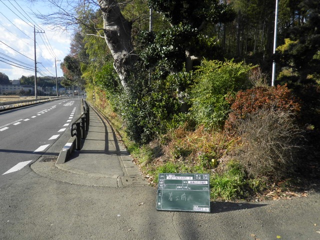サンプル画像