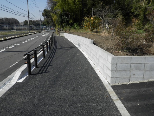 サンプル画像