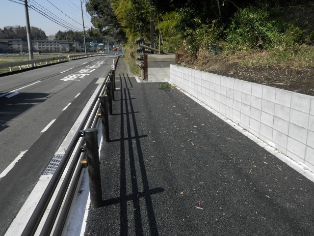 サンプル画像