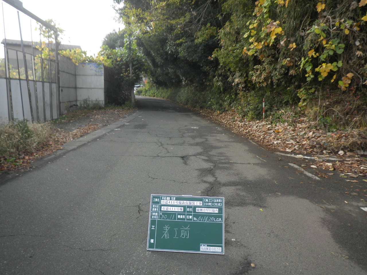 サンプル画像